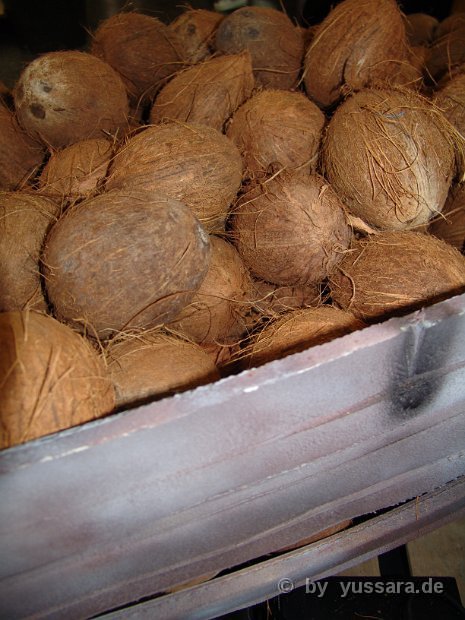 Das Highlight, traditionelles Kokosnuss öffnen zur Begrüßung ihrer Gäste 27